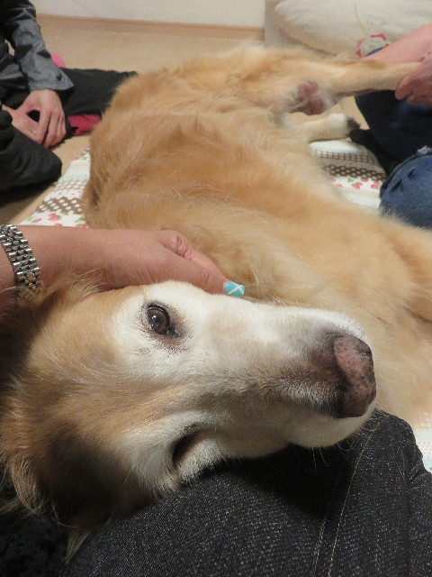 ファイル 5898-5.jpg