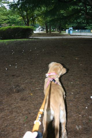 ファイル 59-1.jpg