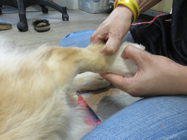 ファイル 5901-4.jpg