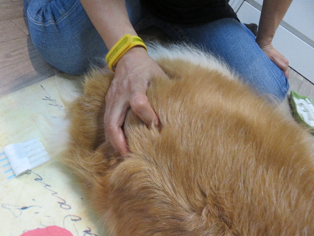 ファイル 5901-5.jpg