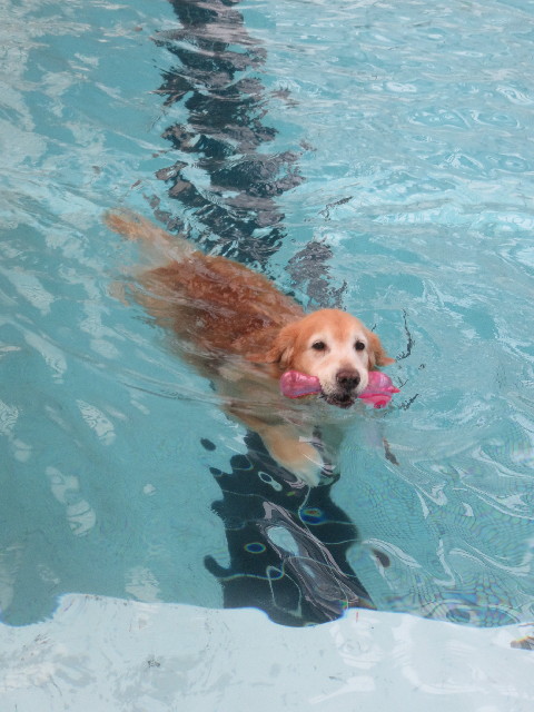 ファイル 5902-2.jpg