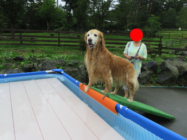 ファイル 5902-3.jpg