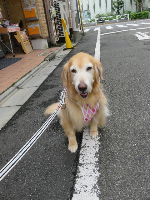 ファイル 5903-1.jpg