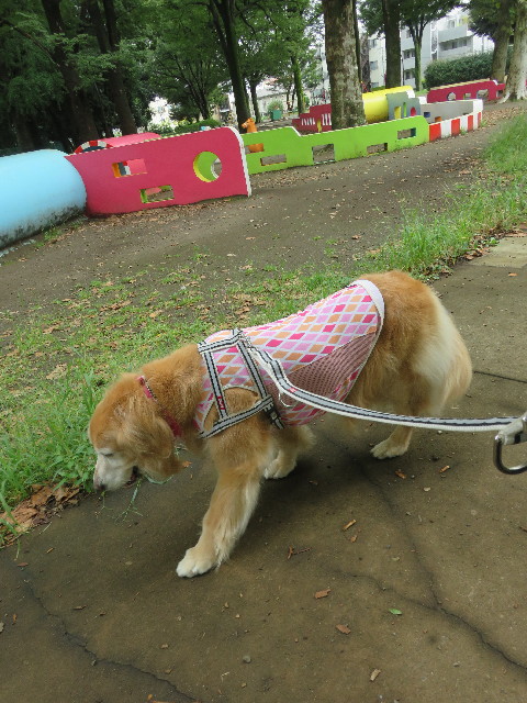 ファイル 5903-2.jpg