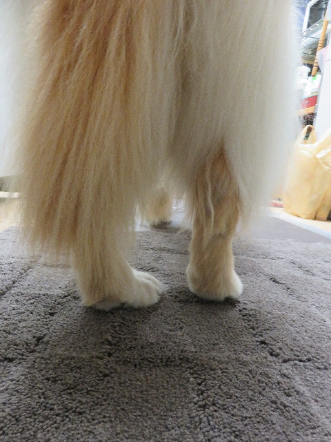 ファイル 5904-1.jpg