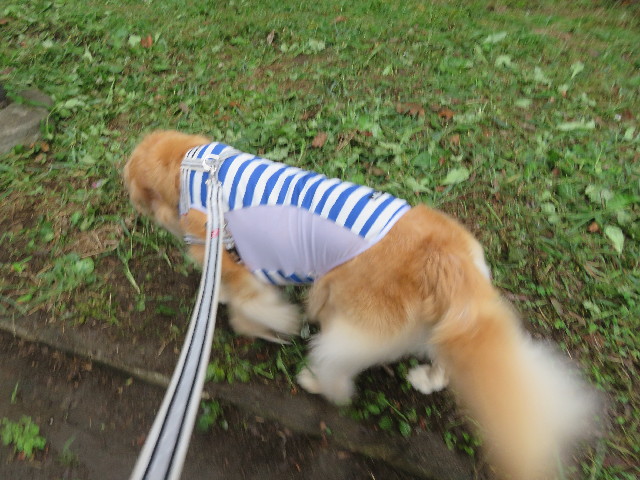 ファイル 5904-3.jpg