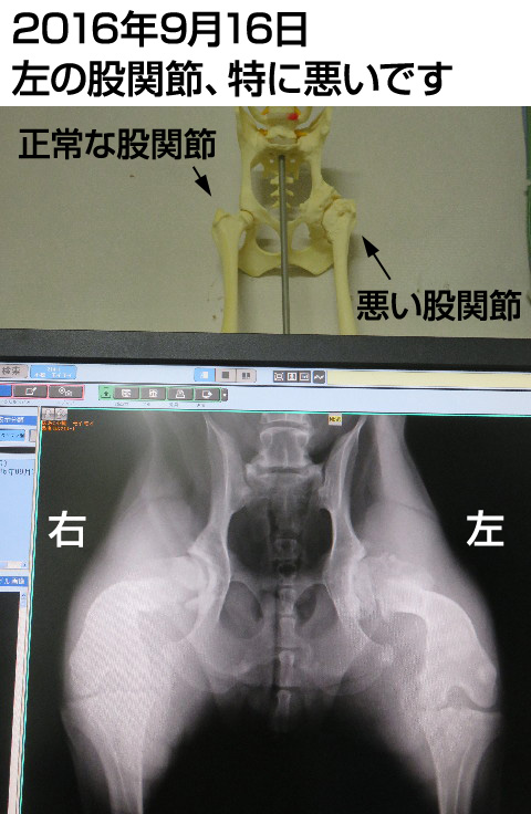 ファイル 5905-1.jpg