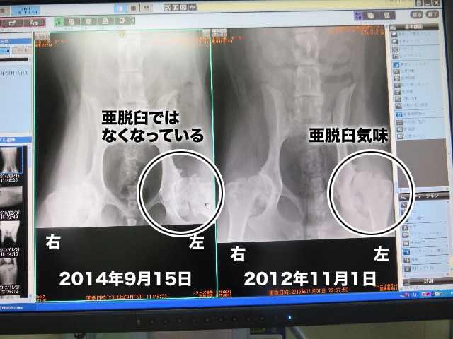 ファイル 5905-2.jpg