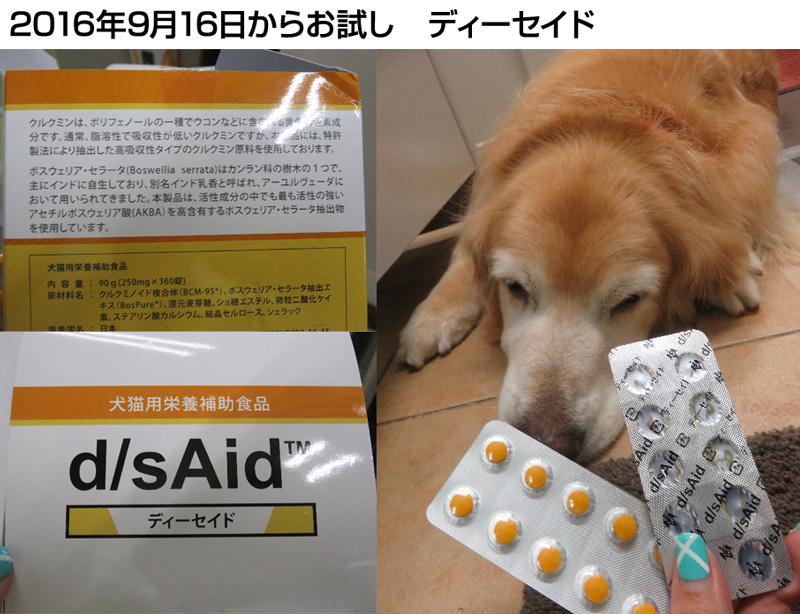 ファイル 5905-5.jpg