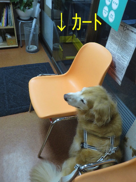 ファイル 5906-1.jpg