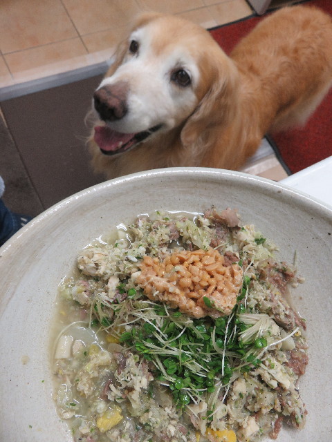 ファイル 5908-1.jpg