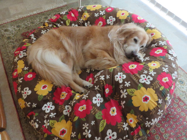 ファイル 5908-2.jpg