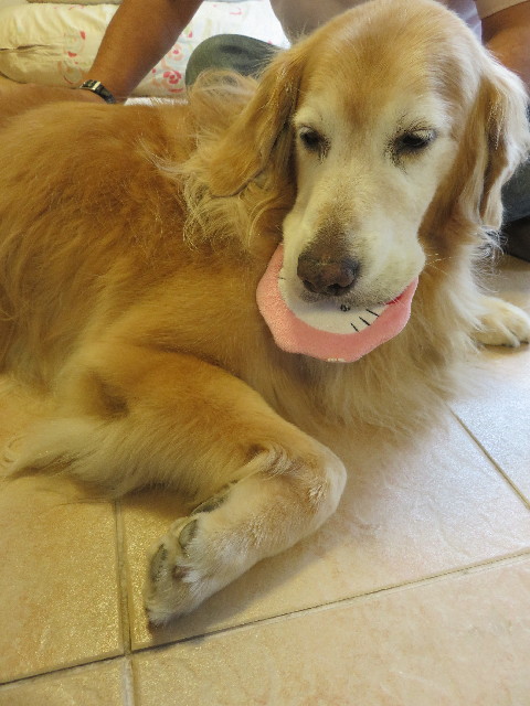 ファイル 5908-5.jpg