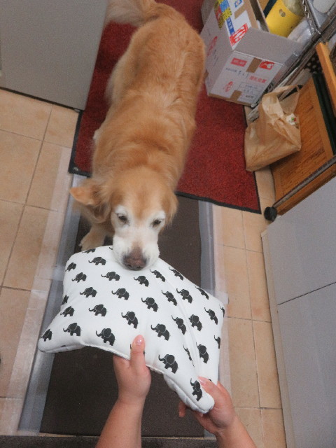 ファイル 5909-1.jpg