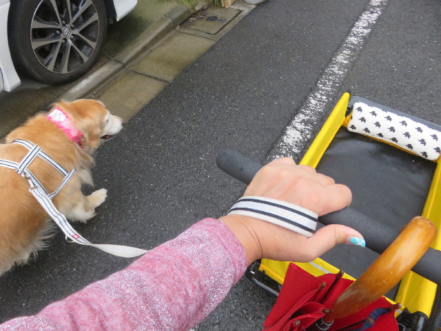 ファイル 5909-4.jpg