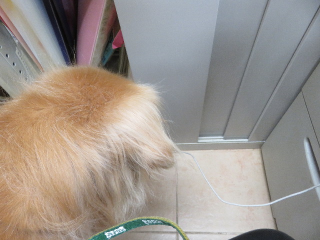 ファイル 5910-2.jpg