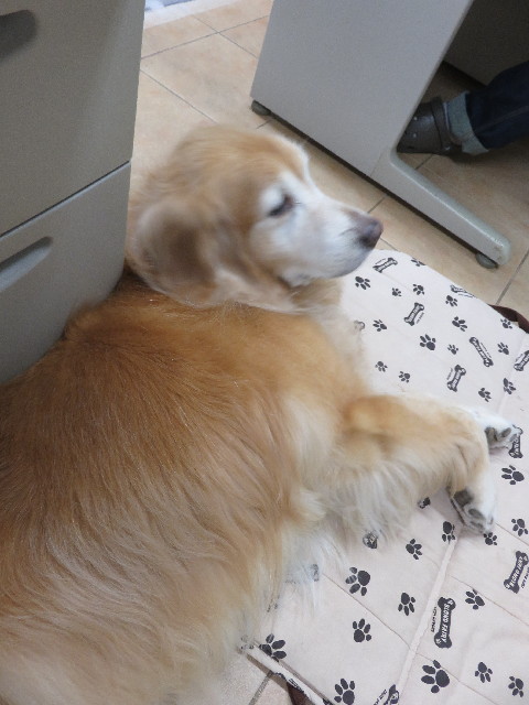 ファイル 5910-3.jpg