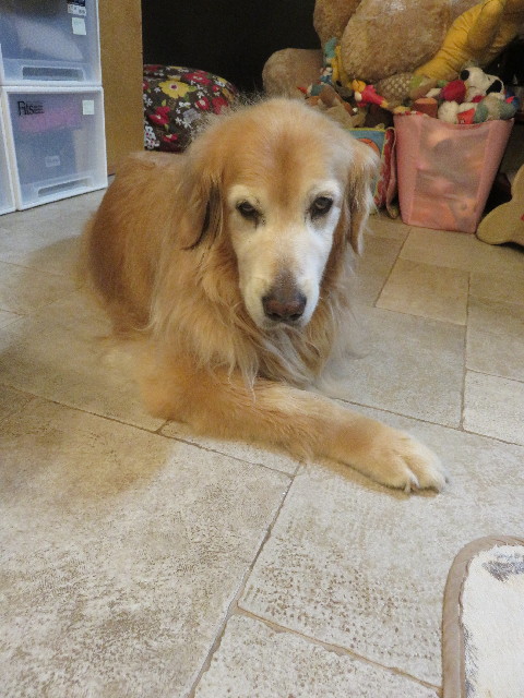 ファイル 5910-5.jpg