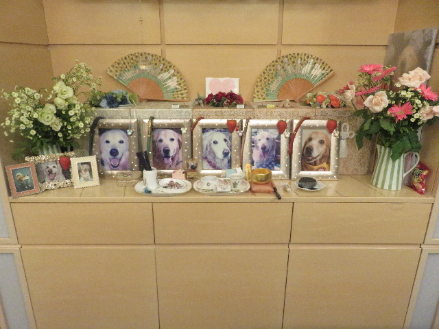 ファイル 5913-1.jpg