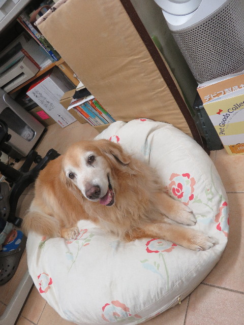 ファイル 5913-2.jpg