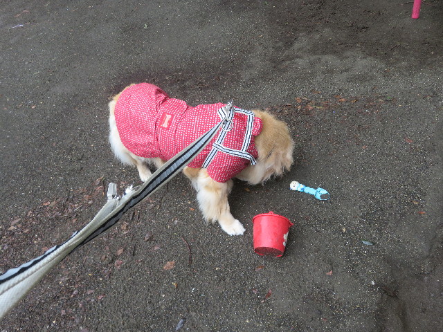 ファイル 5913-3.jpg