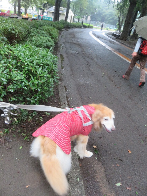 ファイル 5913-4.jpg