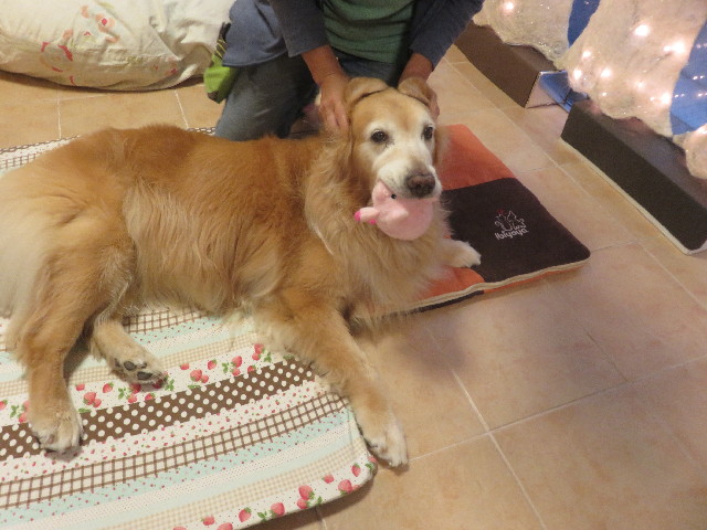 ファイル 5913-5.jpg