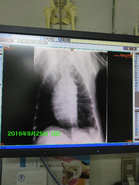 ファイル 5919-3.jpg