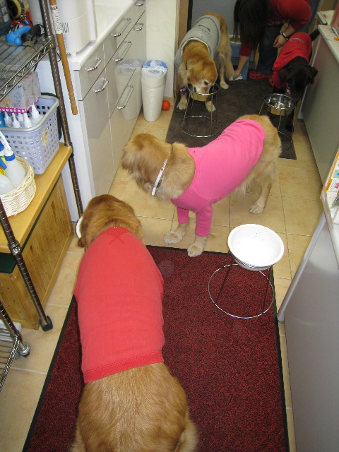 ファイル 592-1.jpg