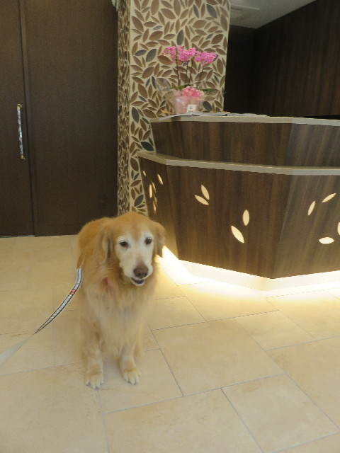 ファイル 5921-2.jpg