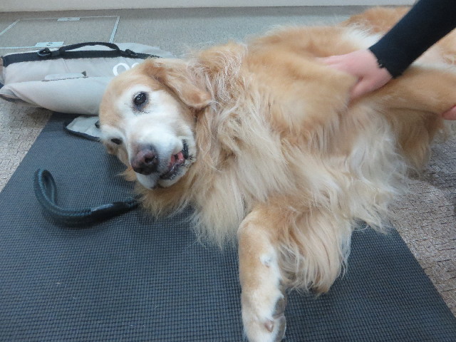 ファイル 5922-1.jpg