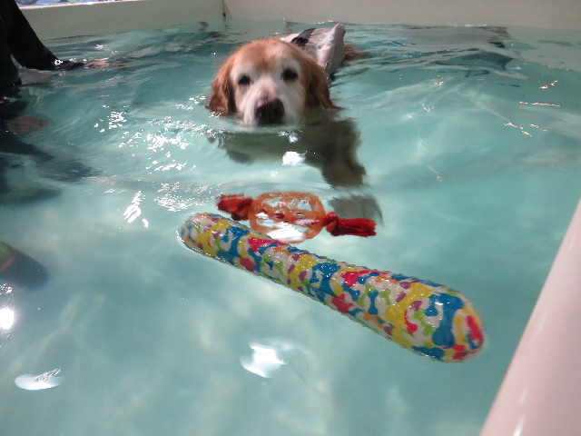 ファイル 5922-3.jpg