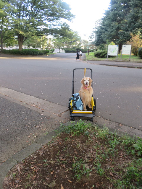 ファイル 5923-1.jpg