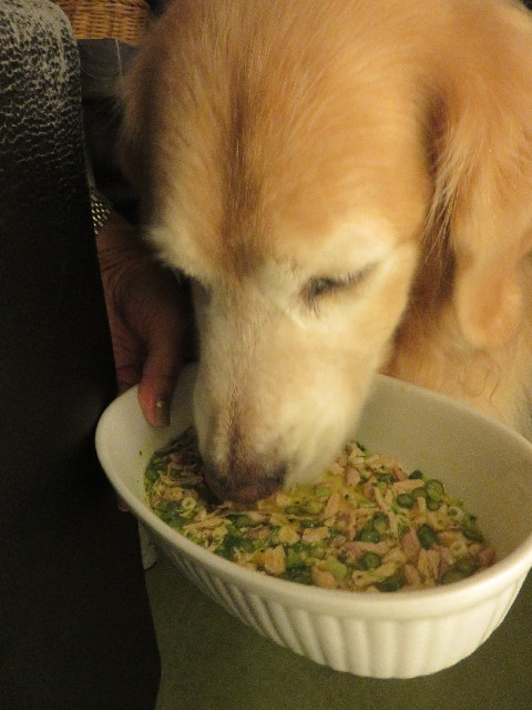 ファイル 5923-5.jpg