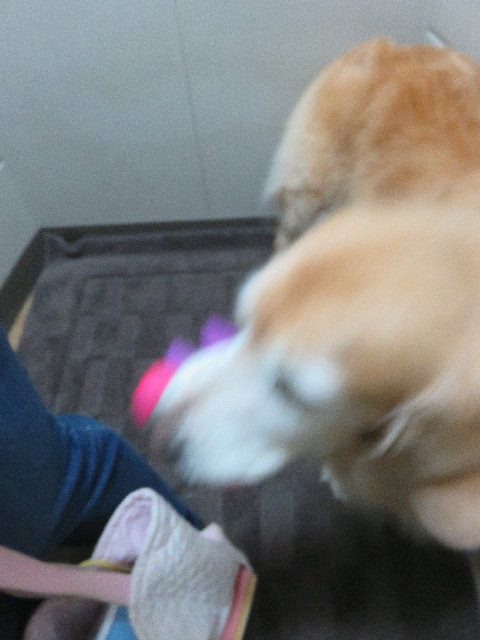 ファイル 5924-1.jpg