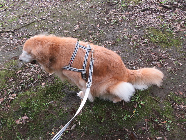 ファイル 5924-2.jpg