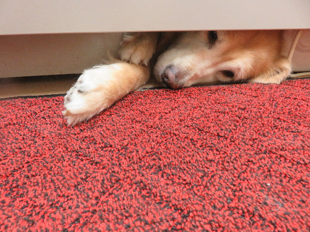 ファイル 5924-3.jpg