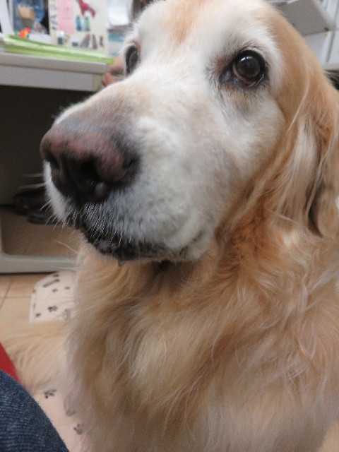 ファイル 5924-4.jpg