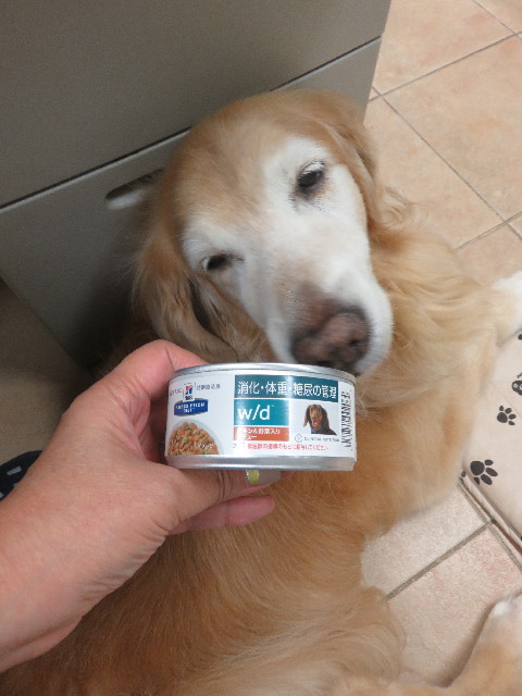 ファイル 5925-2.jpg