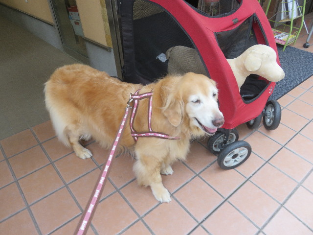 ファイル 5926-1.jpg