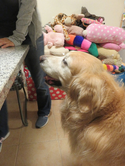 ファイル 5926-5.jpg