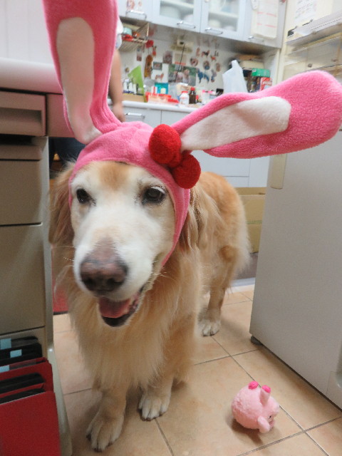 ファイル 5927-2.jpg