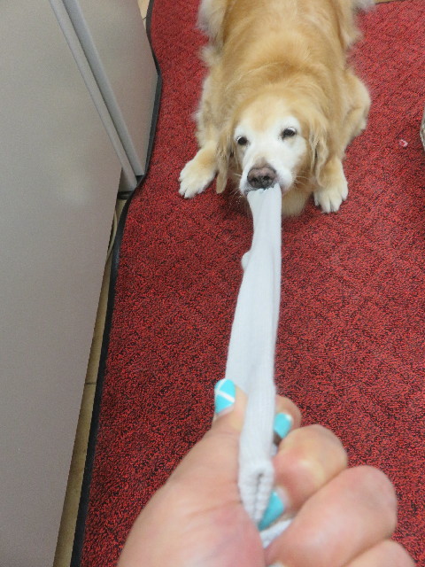 ファイル 5927-3.jpg