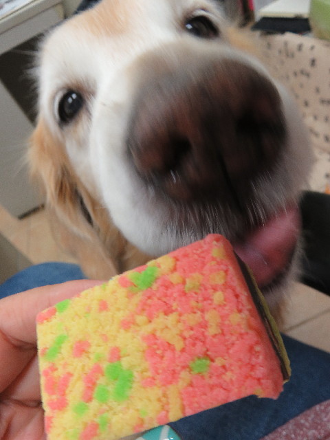 ファイル 5927-4.jpg