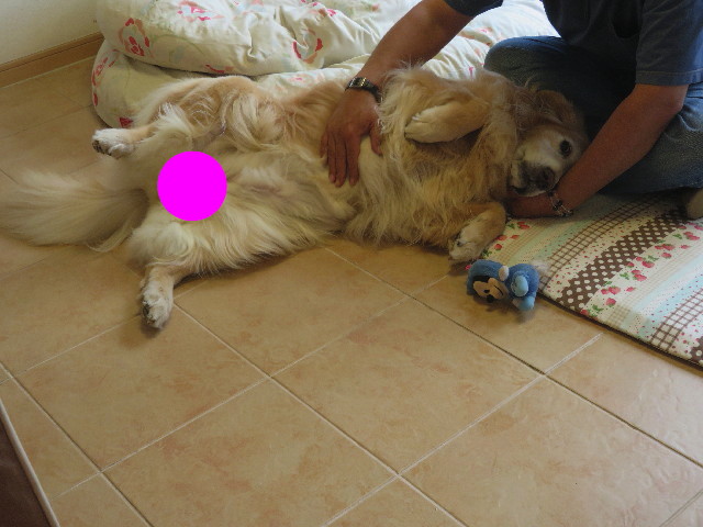 ファイル 5928-5.jpg