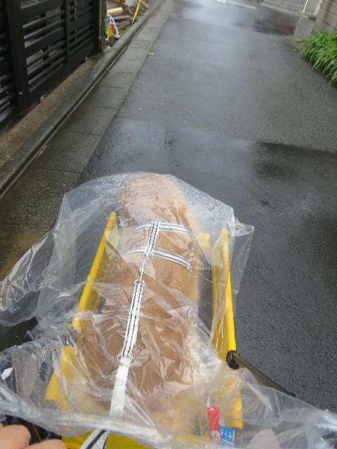 ファイル 5930-1.jpg