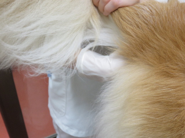 ファイル 5930-5.jpg