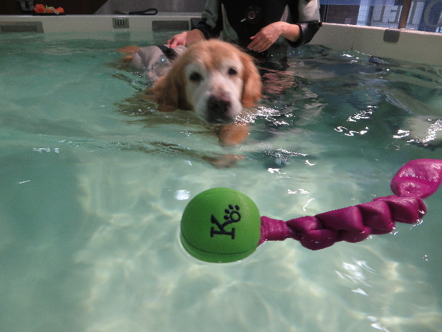 ファイル 5931-2.jpg