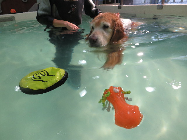 ファイル 5931-3.jpg