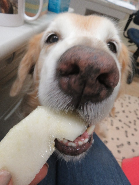 ファイル 5934-5.jpg